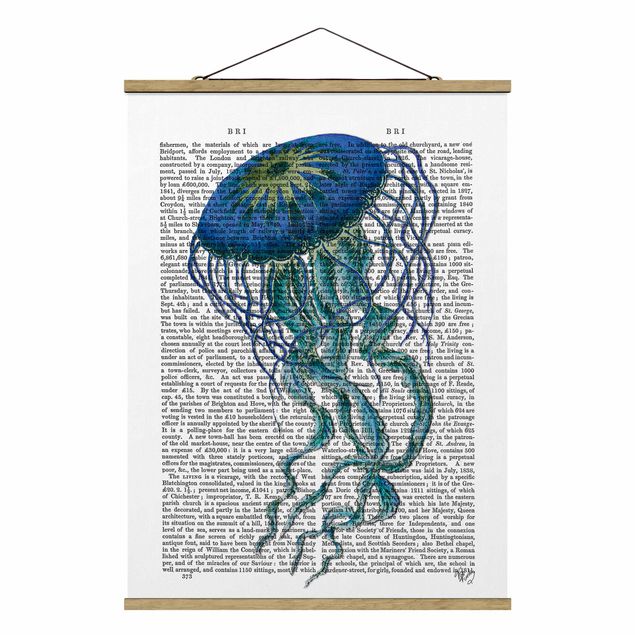 Quadros animais Animal Reading - Jellyfish