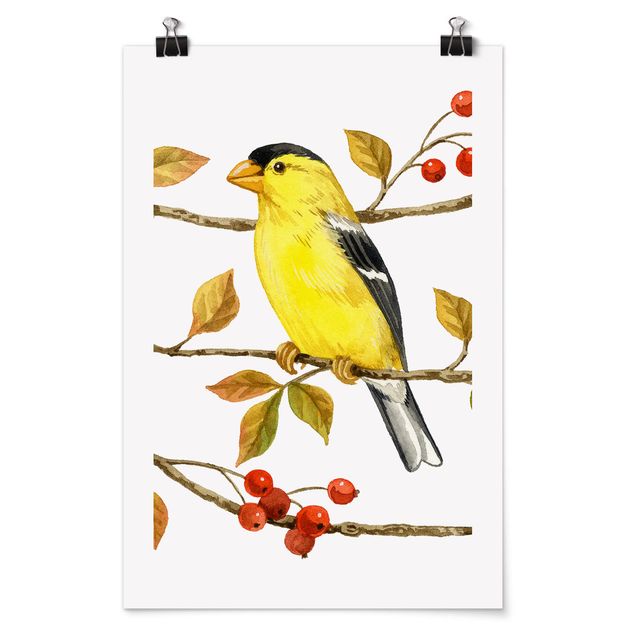 quadros modernos para quarto de casal Birds And Berries - American Goldfinch