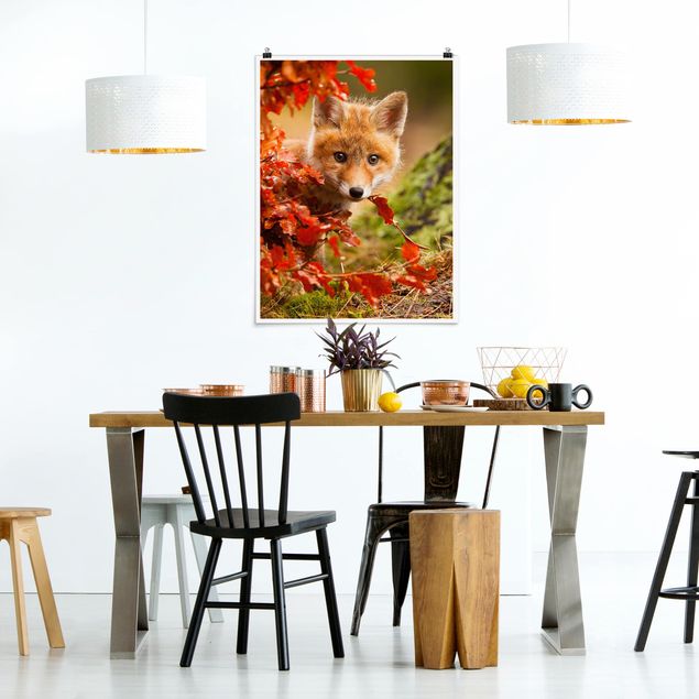 quadro com paisagens Fox In Autumn