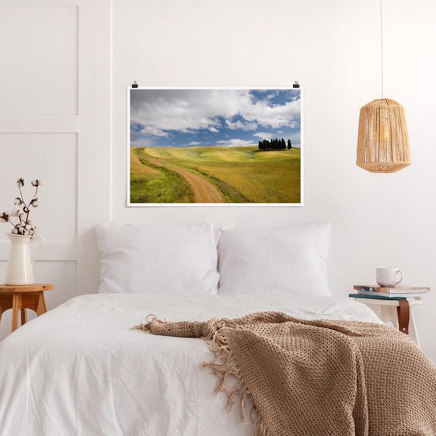 quadro com paisagens Cypresses In Tuscany