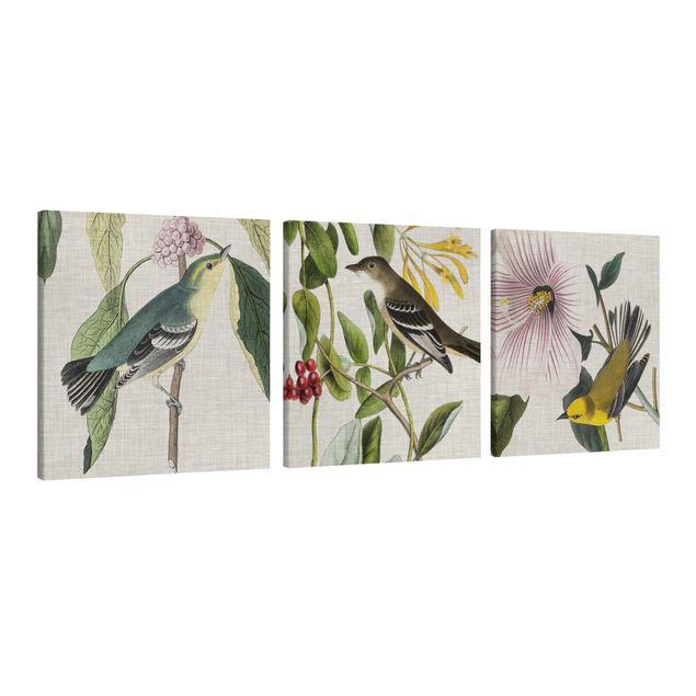 Quadros florais Birds On Linen Set I