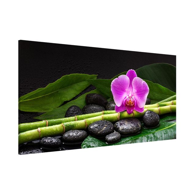 Quadros orquídeas Green Bamboo With Orchid Flower
