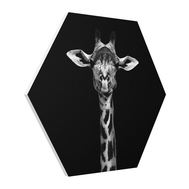 quadros decorativos para sala modernos Dark Giraffe Portrait