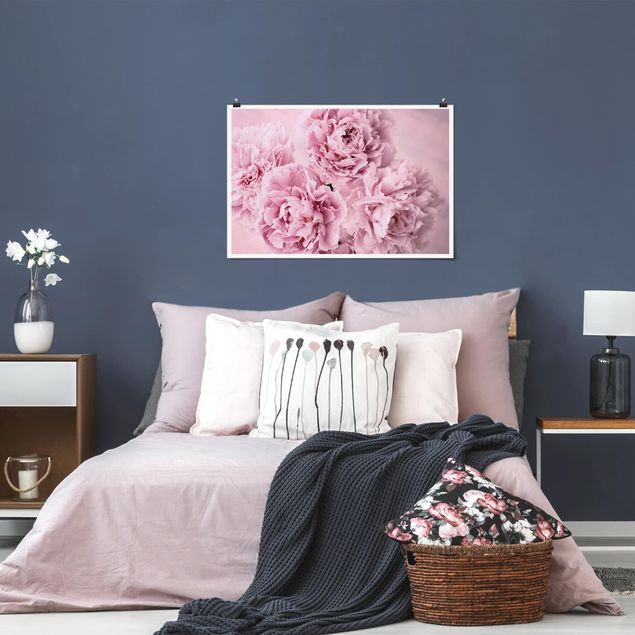 Posters flores Pink Peonies