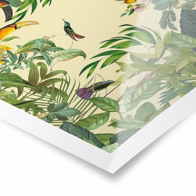 Quadros multicoloridos Vintage Collage - Birds In The Jungle