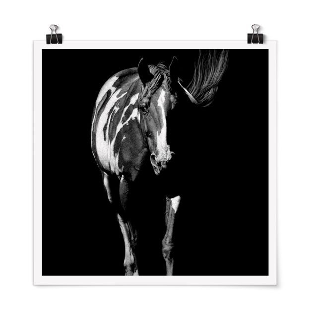Posters em preto e branco Horse In The Dark