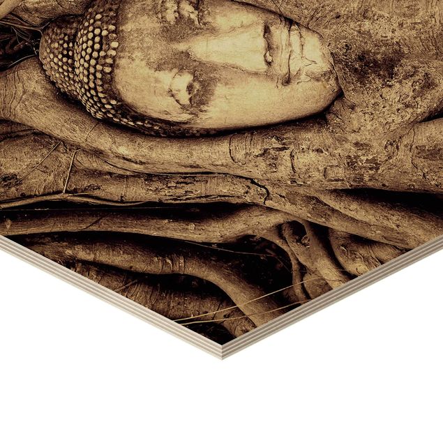 Quadros hexagonais Buddha In Ayutthaya Lined From Tree Roots In Brown