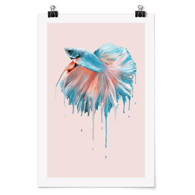 Posters animais Melting Fish