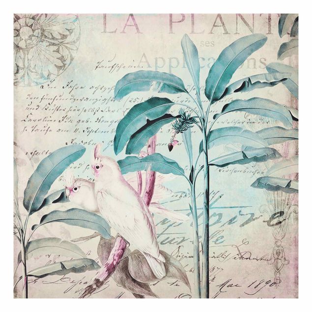 Quadros florais Colonial Style Collage - Cockatoos And Palm Trees