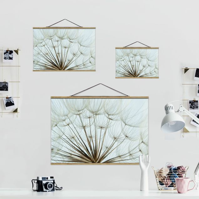 quadro de tecido para parede Beautiful dandelion macro shot