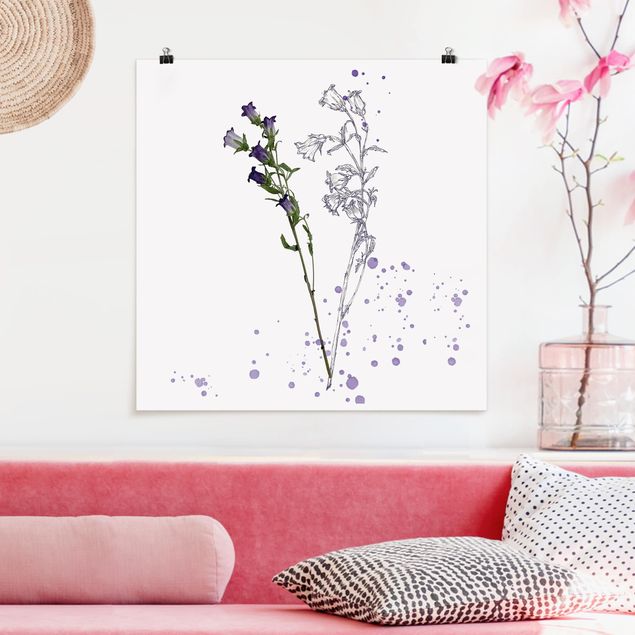 Posters flores Botanical Watercolour - Bellflower