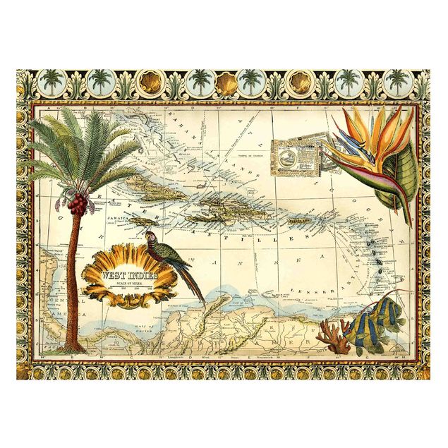 Quadros paisagens Vintage Tropical Map West Indies