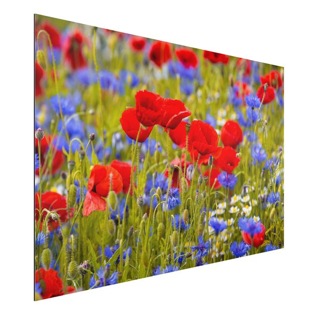 Quadros papoilas Summer Meadow With Poppies And Cornflowers