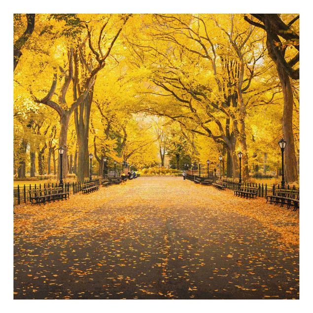 Quadros Nova Iorque Autumn In Central Park