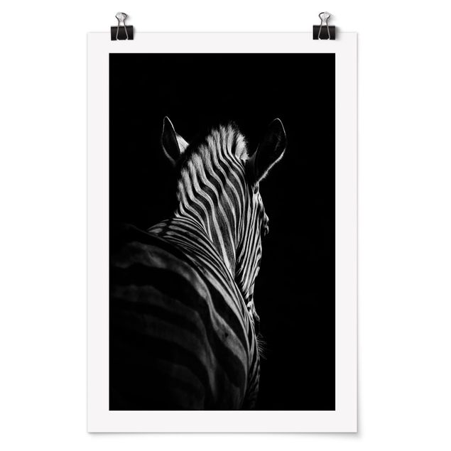 Posters animais Dark Zebra Silhouette