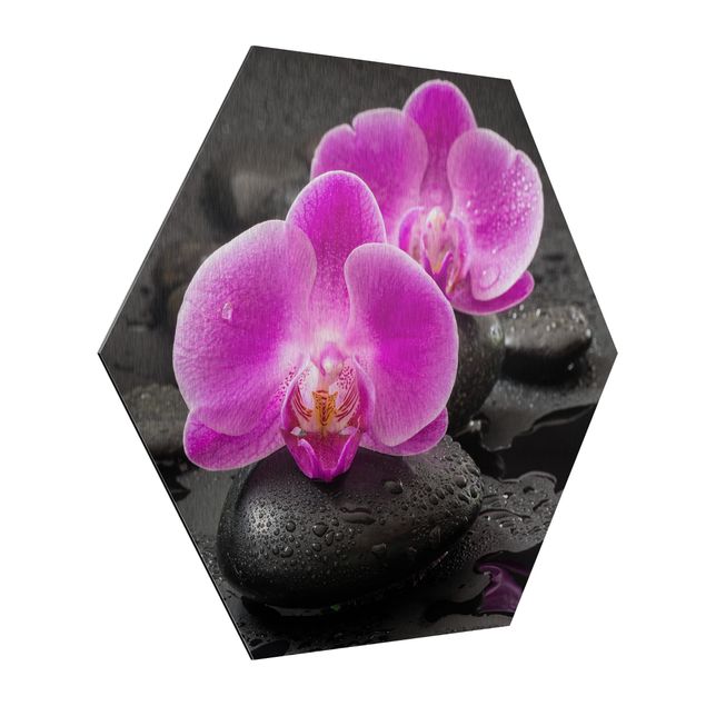 quadro com flores Pink Orchid Flower On Stones With Drops