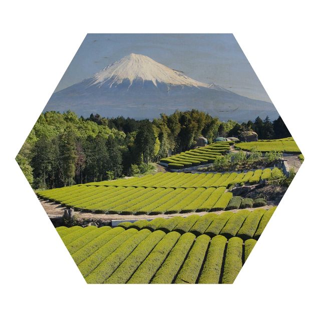 Quadros hexagonais Tea Fields In Front Of The Fuji