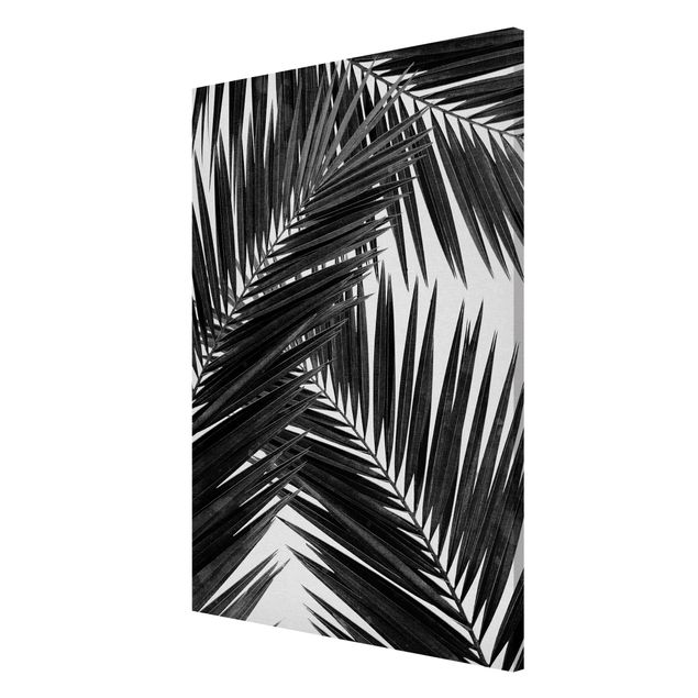 Quadros magnéticos flores View Through Palm Leaves Black And White