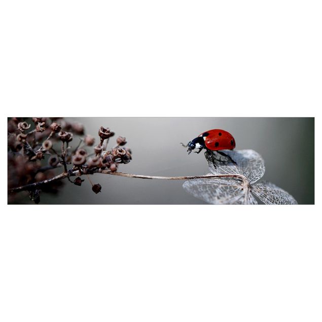 Backsplash de cozinha Ladybird On Hydrangea