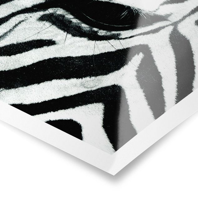 quadros preto e branco para decoração Zebra Crossing No.3