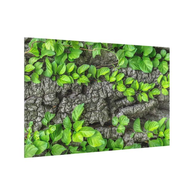 Painel antisalpicos Ivy Tree Bark