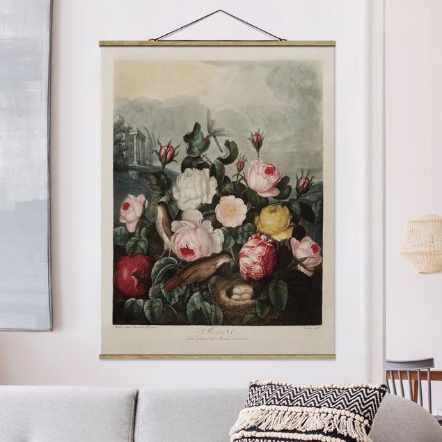 decoraçao para parede de cozinha Botany Vintage Illustration Of Roses