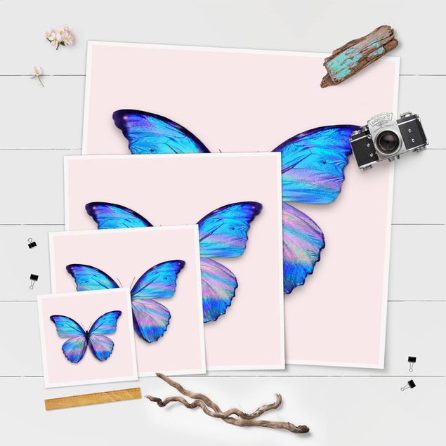 Quadros de Jonas Loose Holographic Butterfly