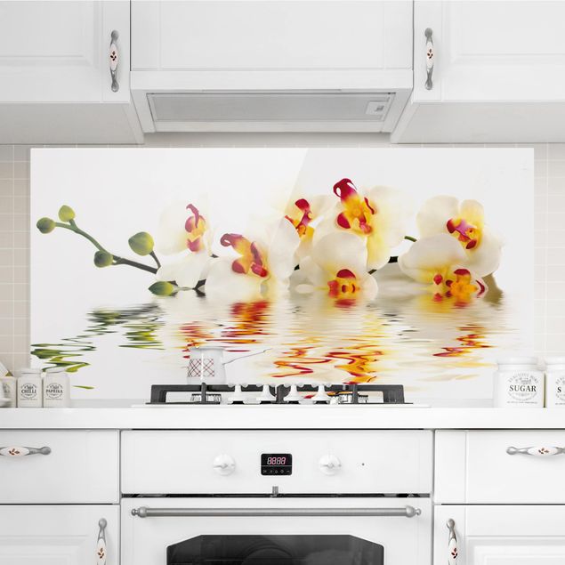 decoraçoes cozinha Vivid Orchid Waters