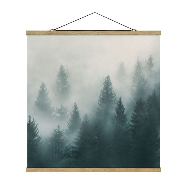 Quadros natureza Coniferous Forest In Fog
