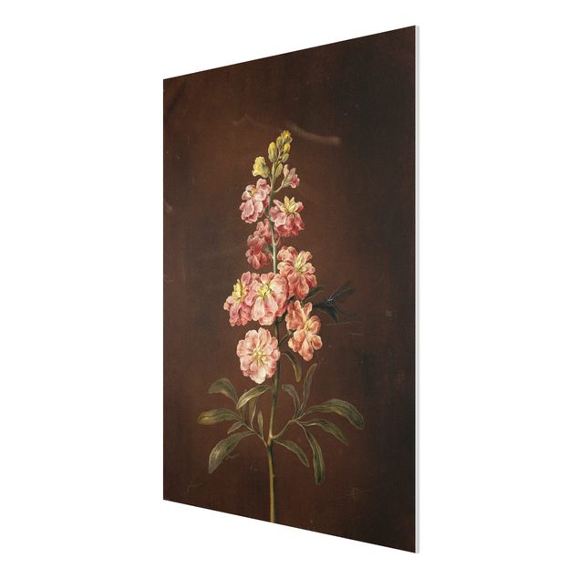 Quadros florais Barbara Regina Dietzsch - A Light Pink Gillyflower