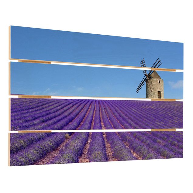 Quadros em madeira Lavender Scent In The Provence