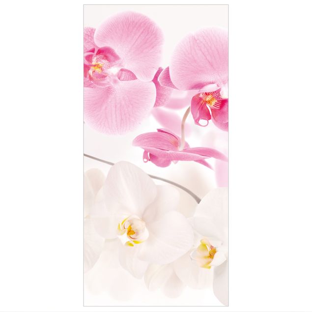 Divisórias de ambiente Delicate Orchids