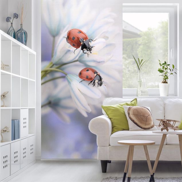 divisórias de espaços interiores Ladybird Couple