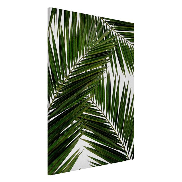 decoraçao para parede de cozinha View Through Green Palm Leaves