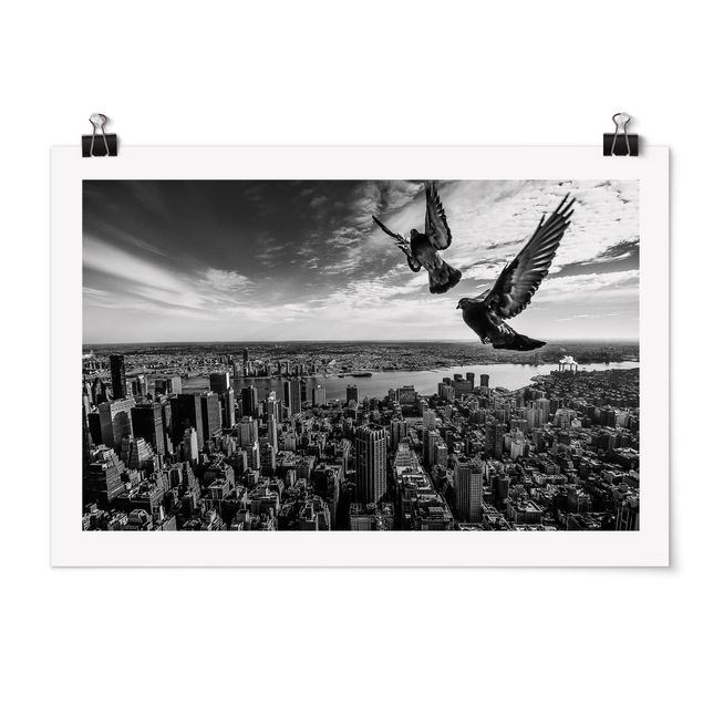 Posters cidades e paisagens urbanas Pigeons On The Empire State Building