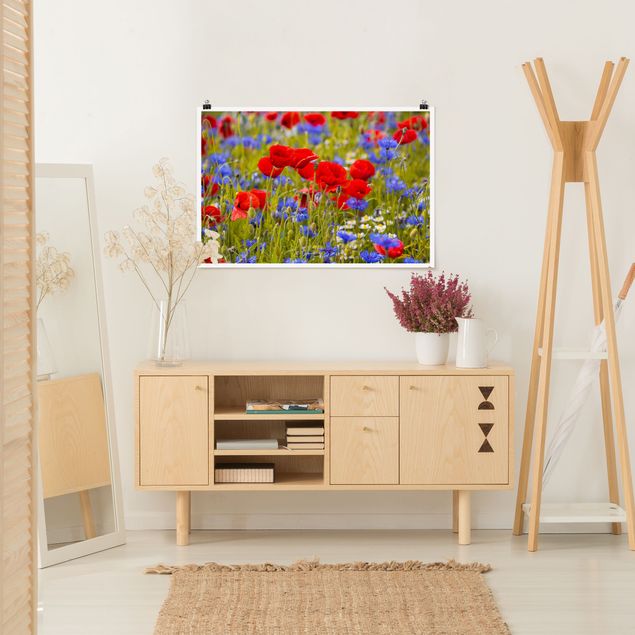 Posters quadros famosos Summer Meadow With Poppies And Cornflowers
