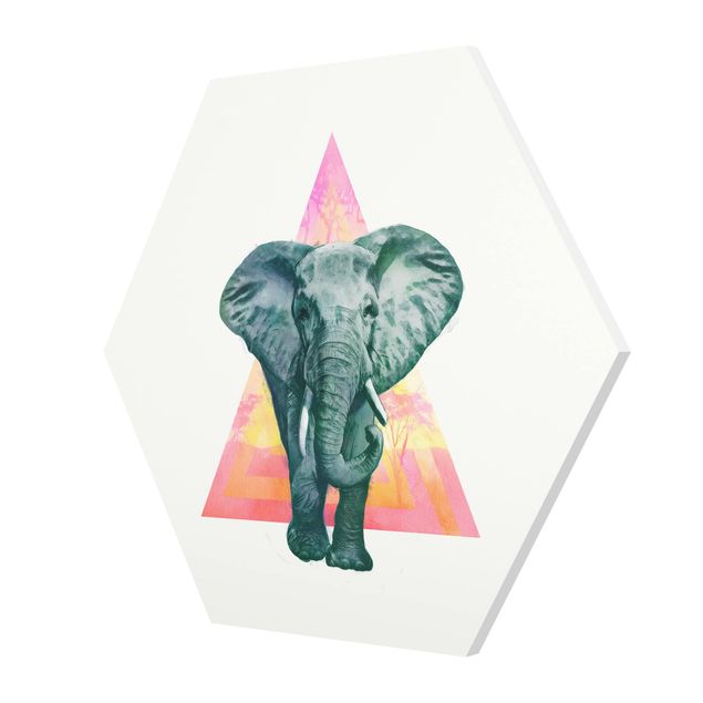 Quadros multicoloridos Illustration Elephant Front Triangle Painting