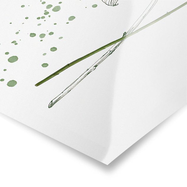 poster decoração Botanical Watercolour - Lily