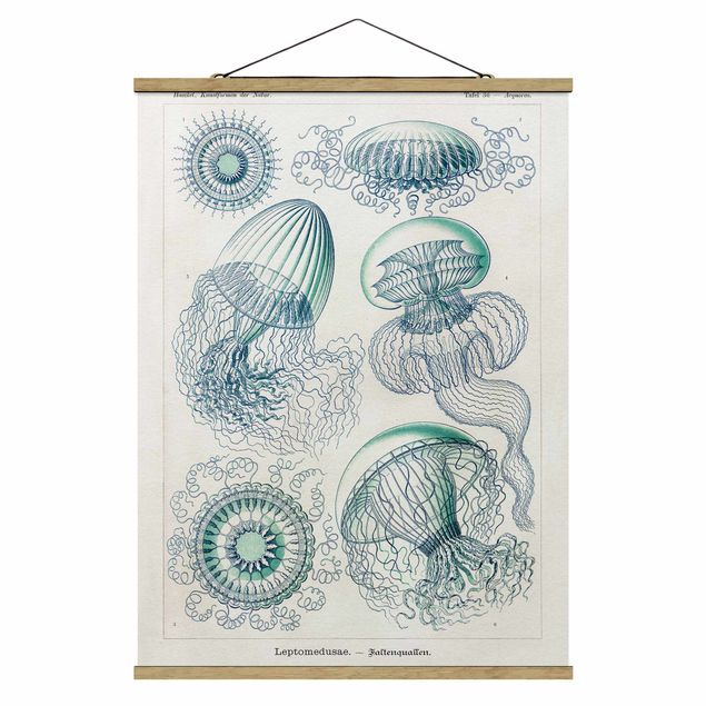Quadros animais Vintage Board Jellyfish In Blue
