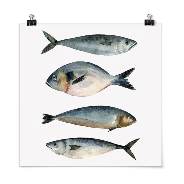 Posters flores Four Fish In Watercolour II
