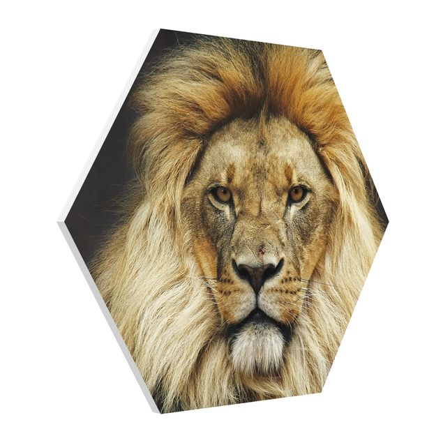 quadro animal Wisdom Of Lion
