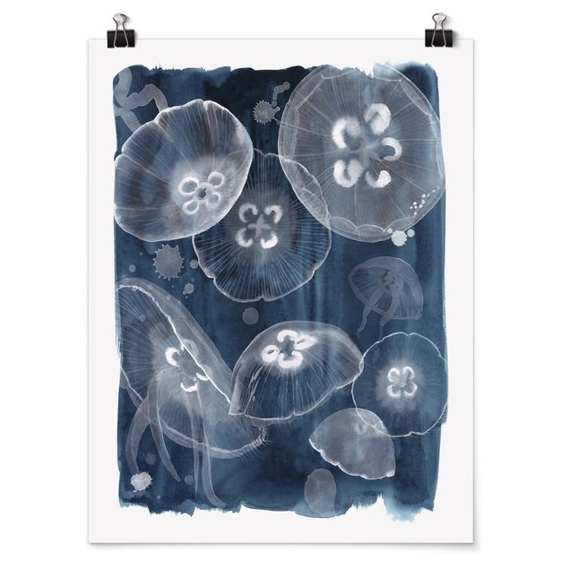 Quadros animais Moon Jellyfish II