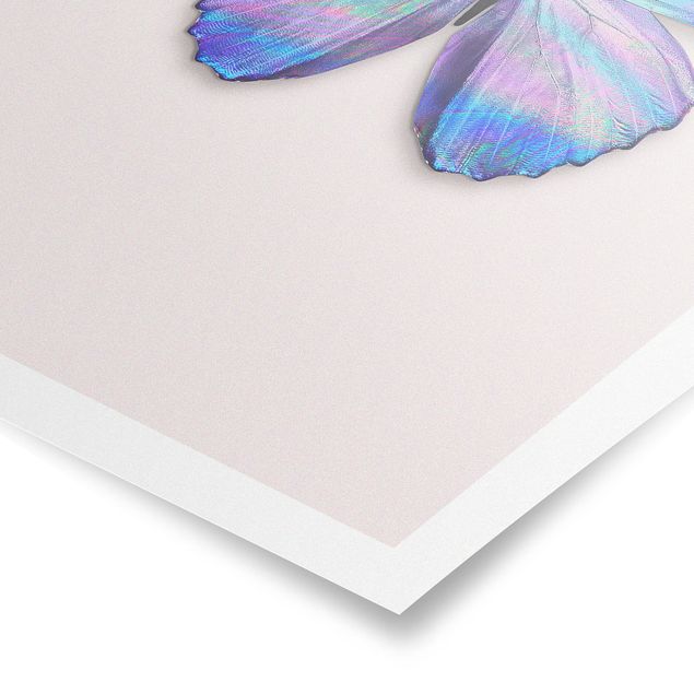 Posters animais Holographic Butterfly
