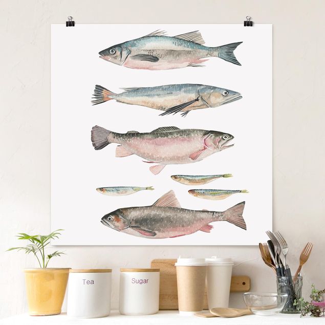 Quadros peixes Seven Fish In Watercolour I