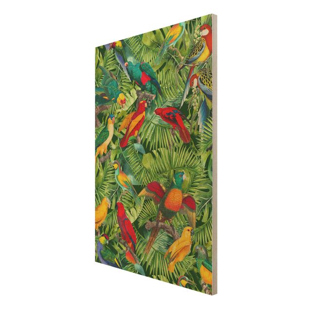 Quadros de Andrea Haase Colourful Collage - Parrots In The Jungle