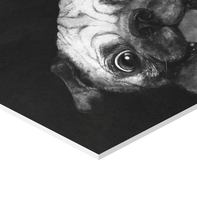 Quadros de Laura Graves Art Illustration Dog Pug Painting On Black And White
