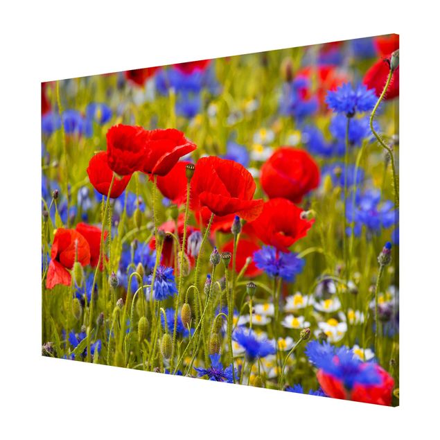 Quadros magnéticos flores Summer Meadow With Poppies And Cornflowers