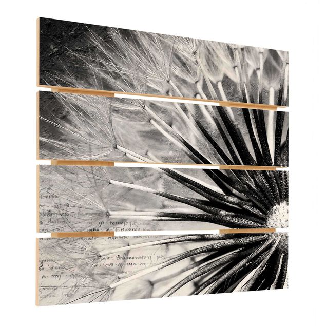 quadros em madeira para decoração Dandelion Black & White