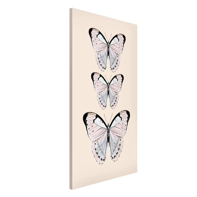 decoraçao para parede de cozinha Butterfly On Beige