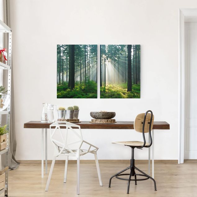 quadros de paisagens Enlightened Forest